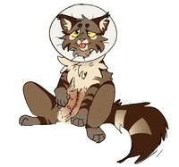 i got spayed <3