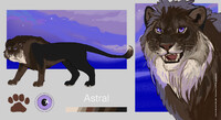 Adopt Auction - Astral [OPEN]