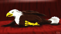 Romantic Bald Eagle