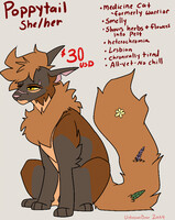 -Adopt- Poppytail