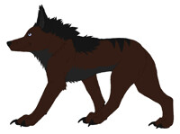 Xenodire