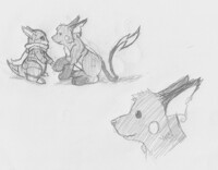 Sandshrew and Raichu