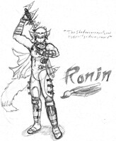 The Vagrant - Ronin