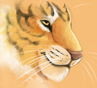 Tiger Speedpaint