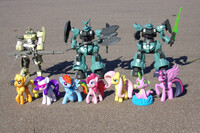 Under the sun in the shore