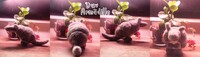 Dav the Armadillo (Needlefelt)