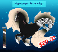 $10 Hippocampus Betta Adopt #2 (OPEN)