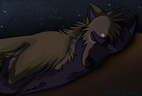 wait for the sunrise..