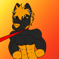 Collared Dog