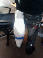Azra tail 