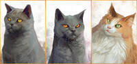 Cat Portraits