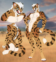 King cheetah adopt (sold)