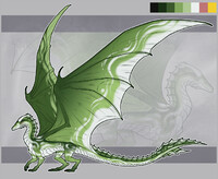 Dragon Reference Sheet for Nihilynn [Commission]