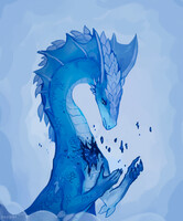 Shards