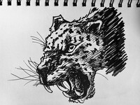 leopard