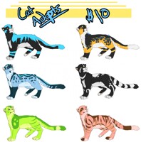 Big Cat Adopts