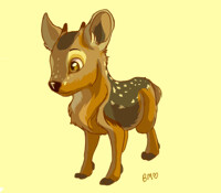 Pudu the piggy deer!