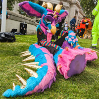 Gryphon on the Grass