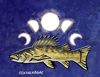 Walleye