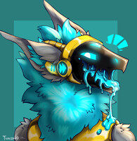 Leaking Visor