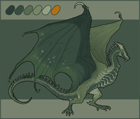 Wyvern Reference Sheet for Nihilynn [Commission]