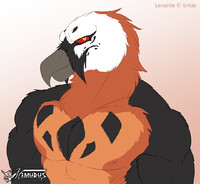 Commission - Levante