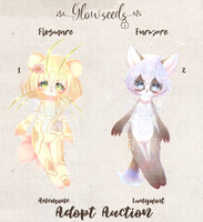 [Discount] Adopt Auction (Open)