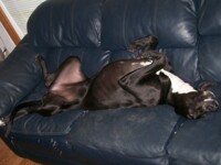 rolled over