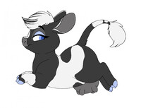 New moo :3
