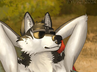 Sunbathe YCH