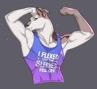Commission Spotlight - Quinndoesstuff
