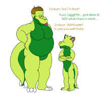 Enskyer Colours