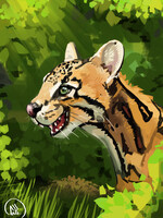 Render and colour study!