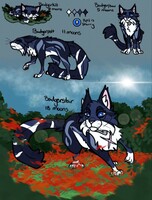 Badgerstar Ref