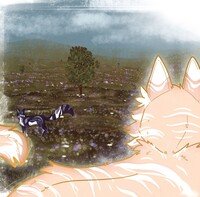 Dream
