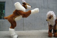 Fanime 2011 - sawsbuck vs arcanine