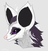 Opossum