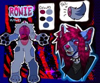 Ronies ref sheet