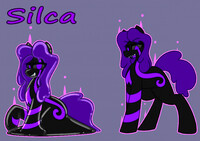 Silca ref