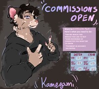 Commissions Open!!!