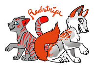 Two SIdes, Same Coin