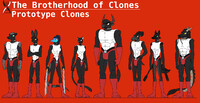 The Brotherhood of Clones - Prototype Clones