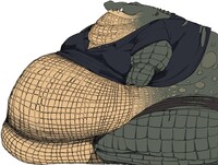 shirtcroc