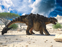 Meet Ankylosaurus A