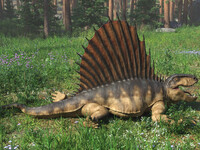 Dimetrodon mawshot C - Saliva