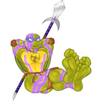 2003 Mystic Turtle Feet SFW w/ Shells - Donnie