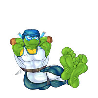 2003 Sports Turtle Feet SFW w/ Shells - Leo