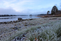 Morning ice and water