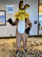 A coyote sighting at Furpoc!