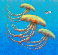 3 silly jellies